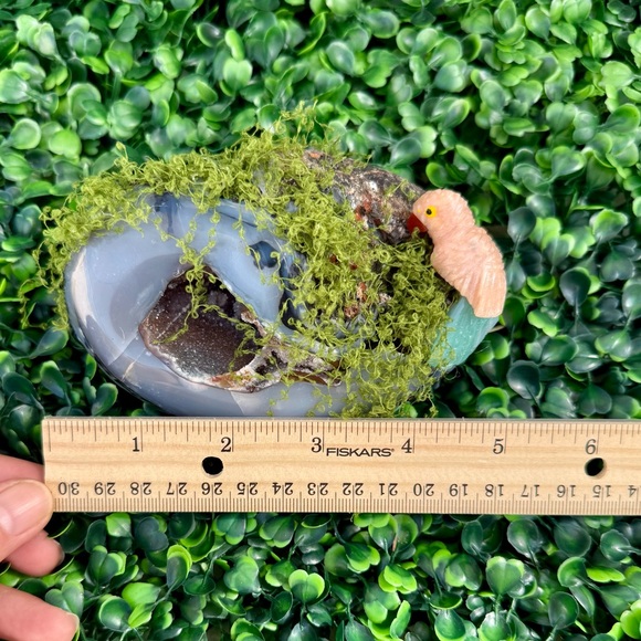 Parrot carving on Agate Geode - Picture 7 of 7